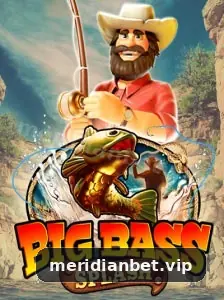meridianbet Plataforma - meridianbet 2